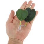 31ifrxnuqil. ac us800