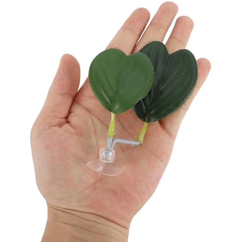 31ifrxnuqil. ac us800