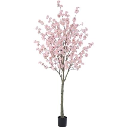 31yfy2petal. ac us800