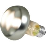 31dzhiailll. ac us800