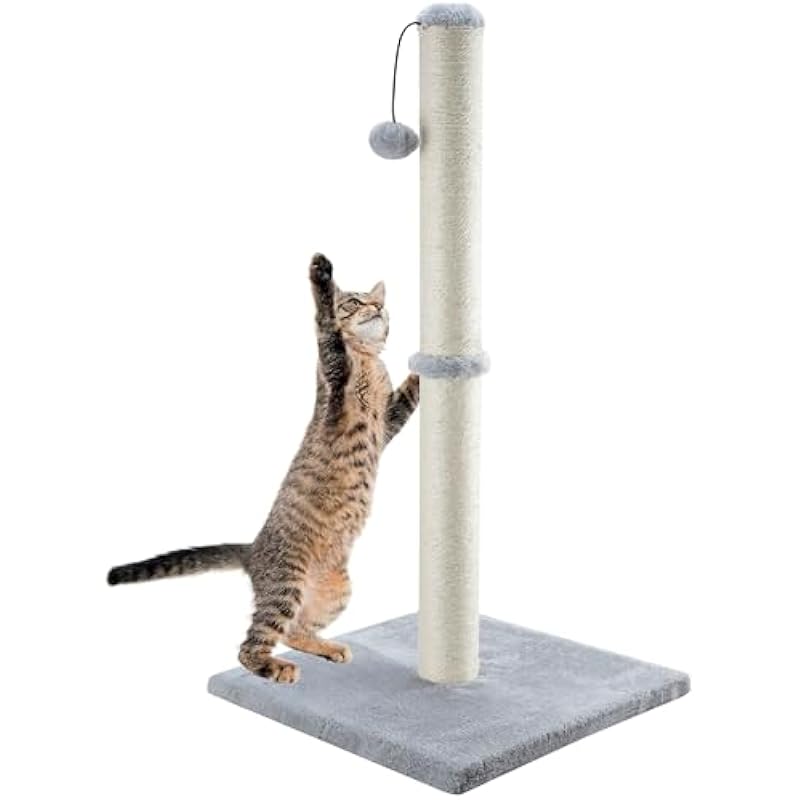 31hyavxt4el. ac us800