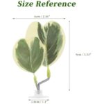 31n0fo7magl. ac us800