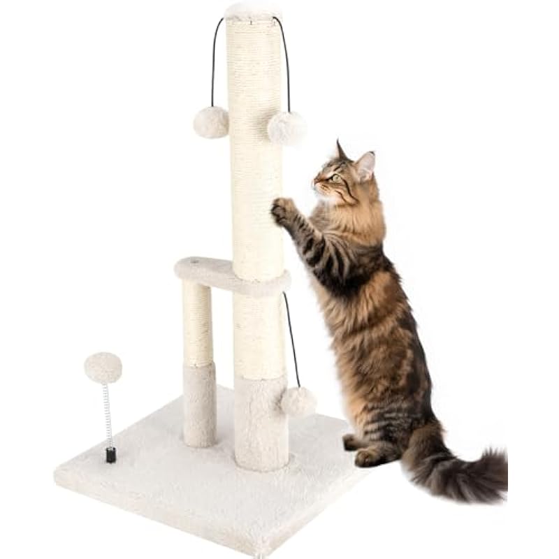 31tdVHPBmL._AC_US800_ 31tdvhpbml. ac us800