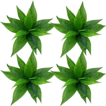 411oeliuful. ac us800