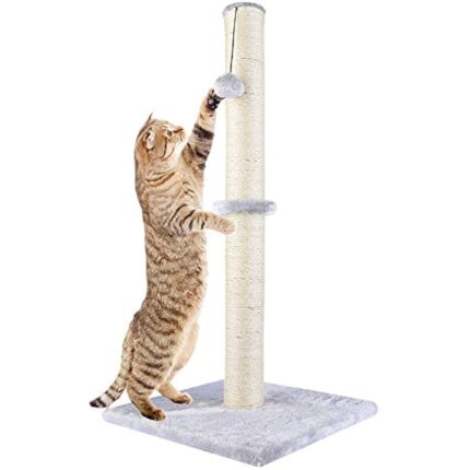 411opozghl. ac us800