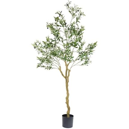 413ejrggj3l. ac us800