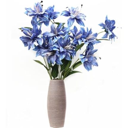 41543i9oxpl. ac us800