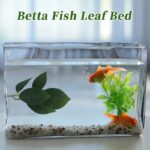 416msqi2ahl. ac us800