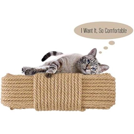 417zyvq8eol. ac us800