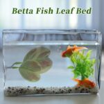 418jndjt0cl. ac us800