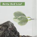 41cpazaku3l. ac us800