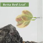 41e6zt0e4vl. ac us800