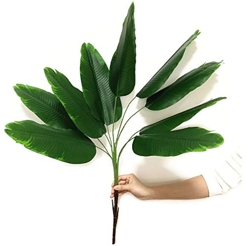 41gqdnvev0l. ac us800