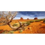 41iyi6zg1l. ac us800