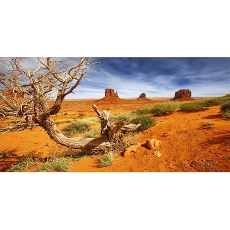 41iyi6zg1l. ac us800