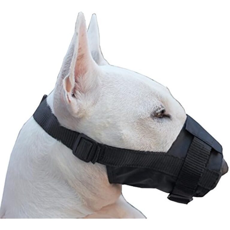 41jhgrimfyl. ac us800