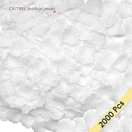 41jiraxcxbl. ac us800