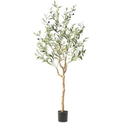 41lubiw1gel. ac us800