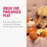 41o pngvznl. ac us800