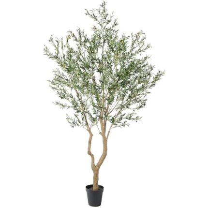 41rwybobmwl. ac us800