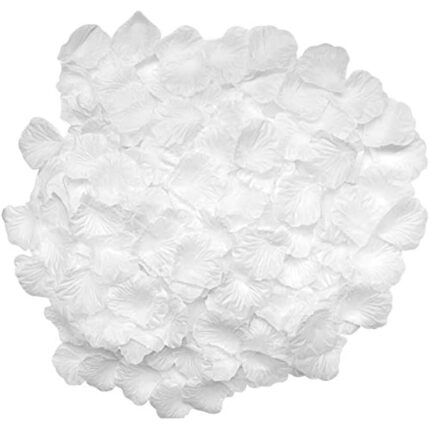 41tenmtlstl. ac us800