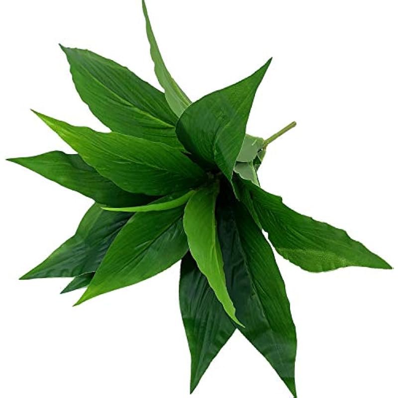 41utihijqfl. ac us800