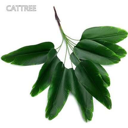 41uxqimubsl. ac us800