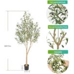 41vcmlef4l. ac us800