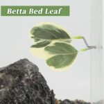 41wje6l9hvl. ac us800