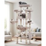 41wparzly3l. ac us800