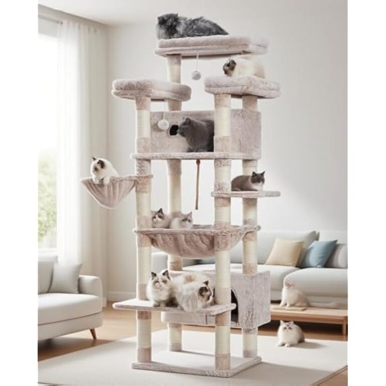 41wparzly3l. ac us800