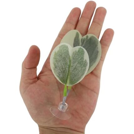 41wsinjk0l. ac us800