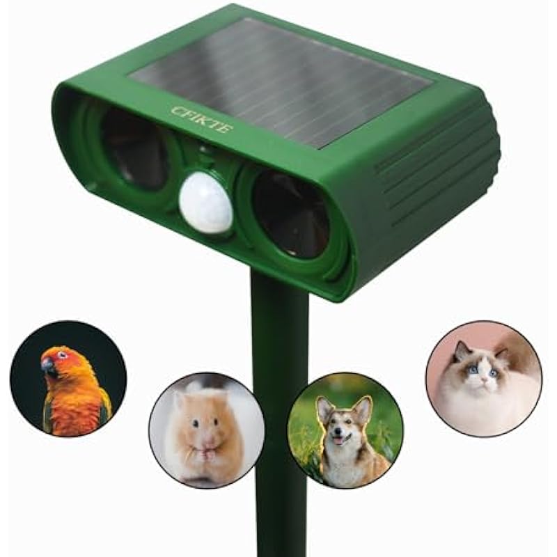 41y6eh2jaxl. ac us800