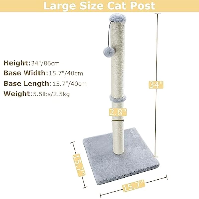 41awgljv8gl. ac us800