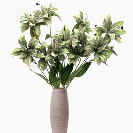 41bkikucx9l. ac us800