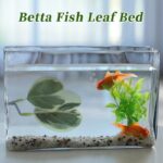 41gzuhfvhcl. ac us800