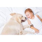 41jclp4sq2l. ac us800