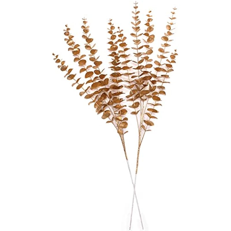 41jhpvreicl. ac us800