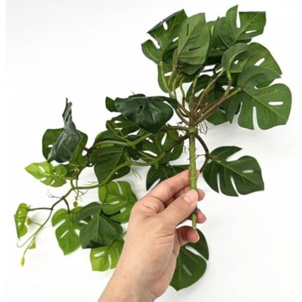 41jg7k qhyl. ac us800