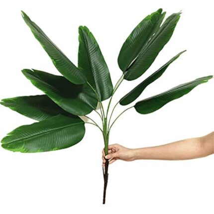 41kdfn6lcql. ac us800