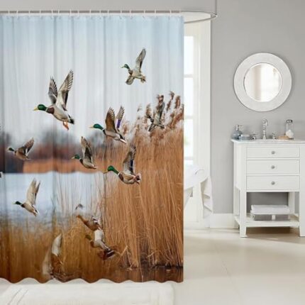 41m zb7goyl. ac us800