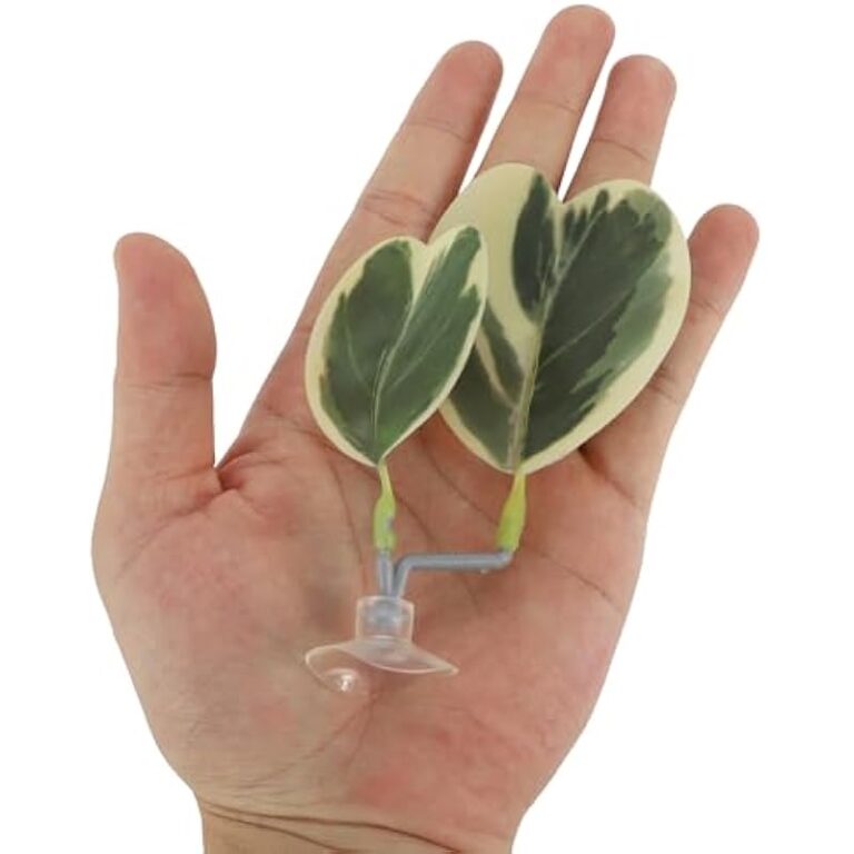 41nslkbzl2l. ac us800