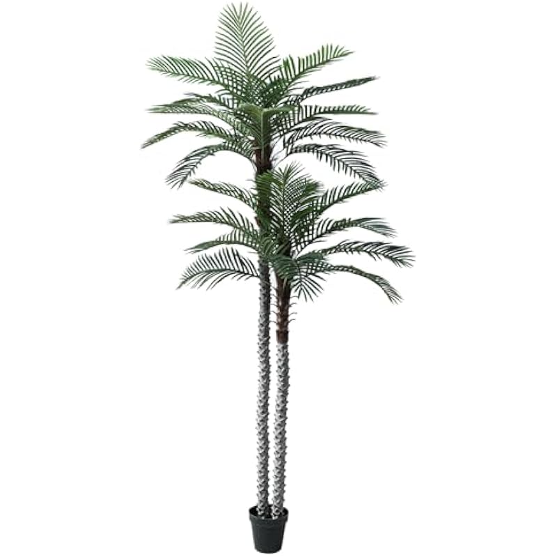 41ofzcudgl. ac us800