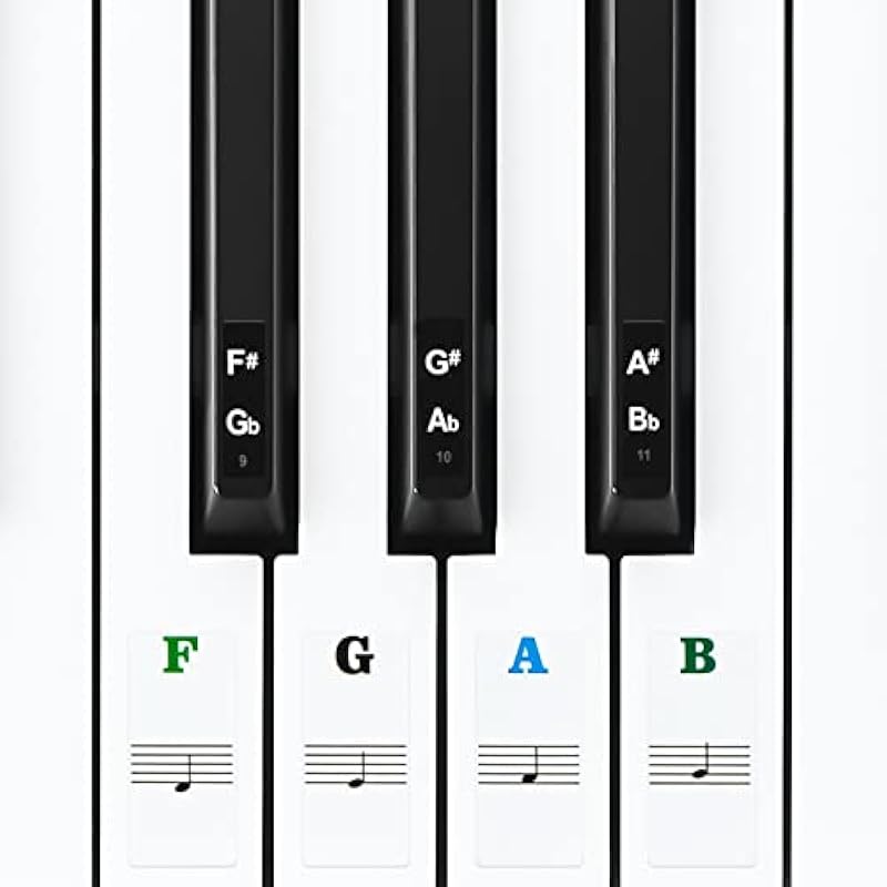 41oxf37vo6l. ac us800