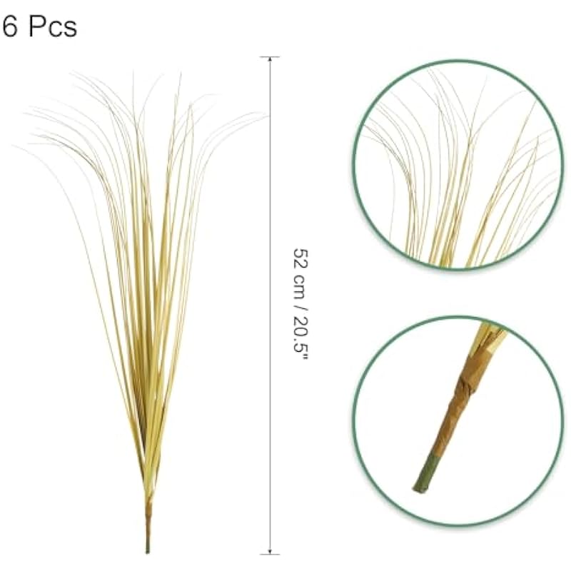 41rqwzeblhl. ac us800