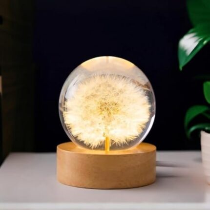 41sb74mlx4l. ac us800