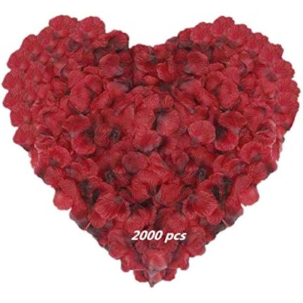 41t9s k 0dl. ac us800