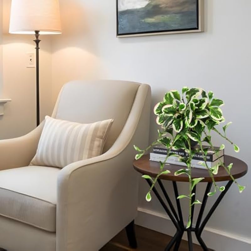 41u6cupoezl. ac us800