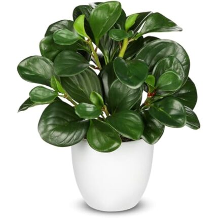 41wqmp dfdl. ac us800