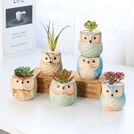 41wue5e7b2l. ac us800